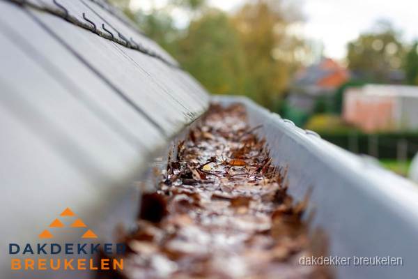Verstopte dakgoot met bladeren schoonmaken in Breukelen