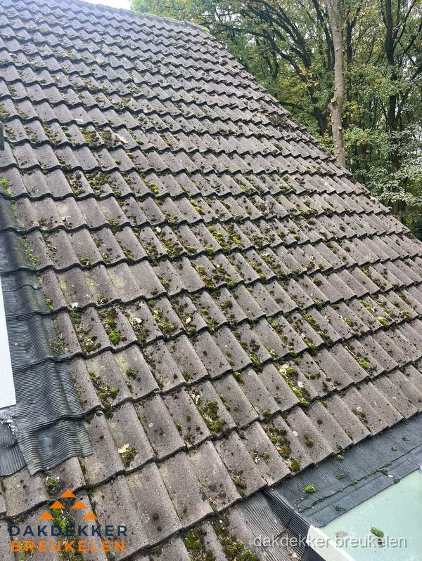Verweerd pannendak met mosgroei dat renovatie nodig heeft in Breukelen
