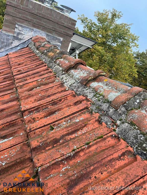 Verweerd hellend dak met mosgroei op nokvorst in Breukelen